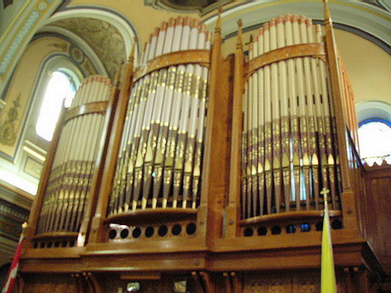 [St. Paul's Basilica, Toronto, ON.]